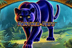 Panther Pays - HIGHBET33