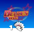 Deuces Wild 1 Hand - HIGHBET33