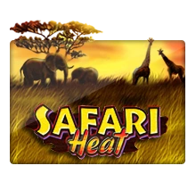 Joker123 : Safari Heat - HIGHBET33