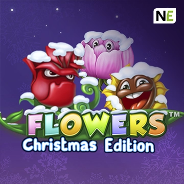 Flowers Christmas Edition - HIGHBET33