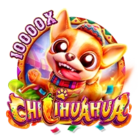 Facai : CHILIHUAHUA - HIGHBET33