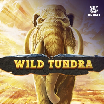 Wild Tundra - HIGHBET33
