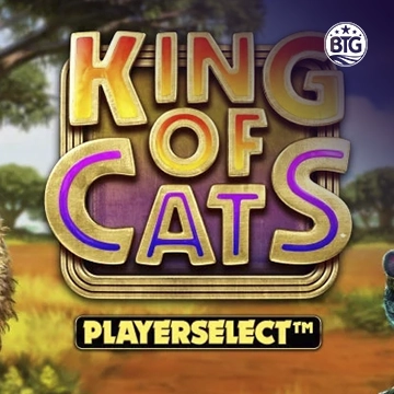 King of Cats - HIGHBET33