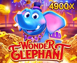 Wonder Elephant - HIGHBET33
