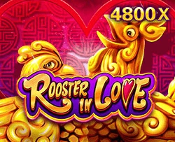 Rooster In Love - HIGHBET33