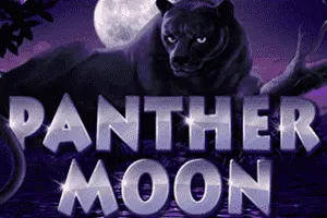 Panther Moon - HIGHBET33