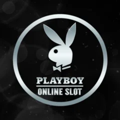 Playboy - HIGHBET33